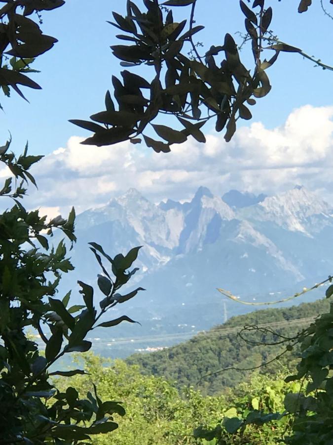 مبيت وإفطار مولاتْسو Relais San Filippo In Sogaglia المظهر الخارجي الصورة